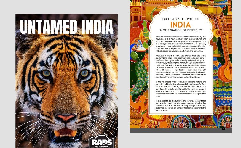 RAPS brochure design